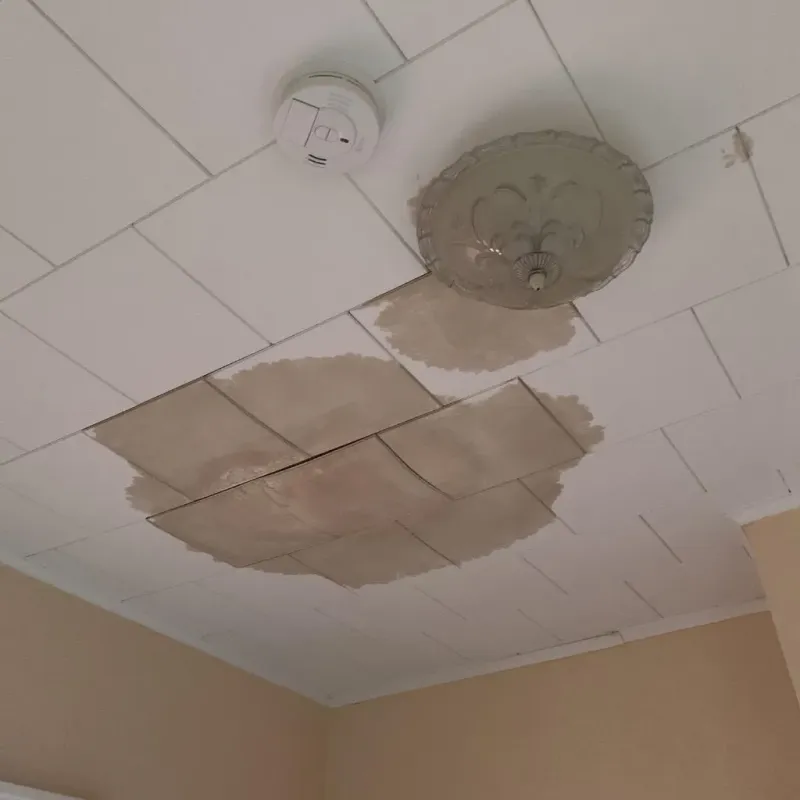Ceiling Water Damage Repair in Houghton County, MI