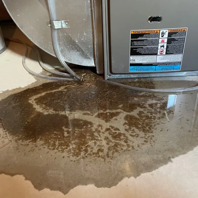 Pipe Burst and Leak Restoration in Houghton County, MI