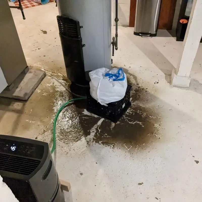 Sewage Backup Cleanup Service in Houghton County, MI